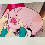 一只静猪🐷纯享抖音达人头像