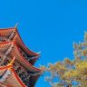 菩瑶若梦澜兮抖音号头像