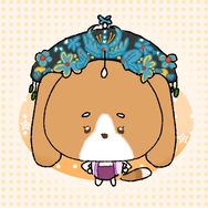 本妙智勇双全抖音达人头像