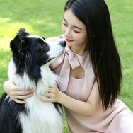 边牧小四抖音达人头像