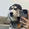 Chance's抖音达人头像
