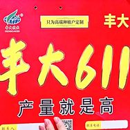 辰耀种业抖音号头像