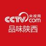 央视网品味陕西抖音达人头像