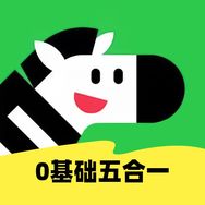 斑马英语-启蒙阶段抖音达人头像