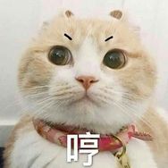 sen sen抖音达人头像