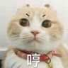 sen sen抖音达人头像