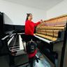 陈燕🎹导盲犬抖音达人头像