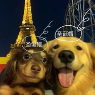 婆婆丁大王&财神酱抖音达人头像