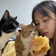 吃一口蛋卷抖音达人头像