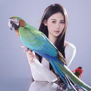 小鹦姐姐 聚鹦堂抖音达人头像