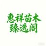 惠祥苗木臻选阁抖音达人头像