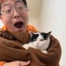 明月的猫儿园抖音达人头像