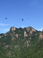 12半山集抖音达人头像