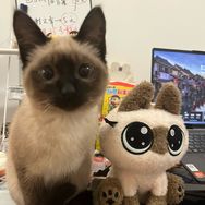 石榴不黑抖音达人头像