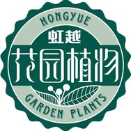 花彩庭院植物抖音达人头像