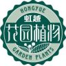 花彩庭院植物抖音达人头像