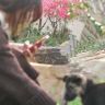 李李小院子二店抖音达人头像