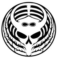 黑八标本抖音达人头像
