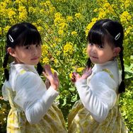 两只年糕oᴗoಣ抖音达人头像
