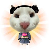 听花岛剧场抖音达人头像