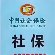 大勇聊社保抖音达人头像