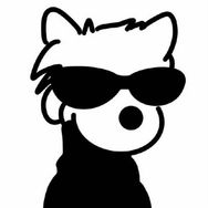 你的垚垚学姐吖抖音达人头像