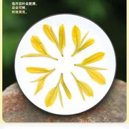林海万无疆茶抖音达人头像