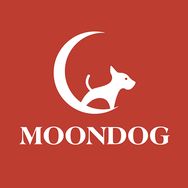 moondog官方旗舰店抖音达人头像