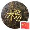 青春的纪念碑抖音达人头像