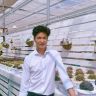 金先生精品多肉甄选量拍大号抖音达人头像