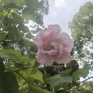 减负师抖音达人头像