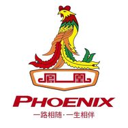 凤凰Phoenix佰库自行车专卖店直播抖音达人头像