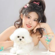 粘豆包的比熊抖音达人头像
