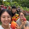 水果三兄妹🍊抖音达人头像