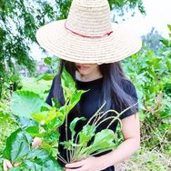 百草园抖音达人头像