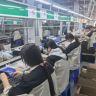 大莉优选抖音号头像