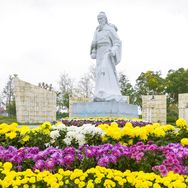 华佗百草园（亳药花海）抖音达人头像