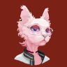 粉色的猫🐱抖音达人头像