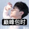 王者代打✅阿陈【巅峰包时王者陪玩工作室】抖音达人头像
