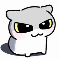 芮饱想养猫抖音达人头像
