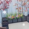 种植箱工厂直销抖音达人头像
