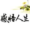 解说老鲁-武汉毅虹体育文化有限公司抖音达人头像