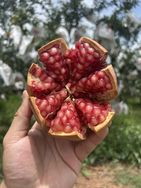 花花家水果批发行抖音达人头像