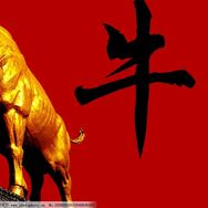 新新财经抖音达人头像