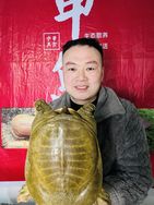洋洋甲鱼抖音达人头像