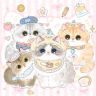 醒了就喂猫抖音达人头像