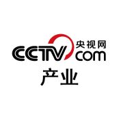 央视网产业抖音达人头像