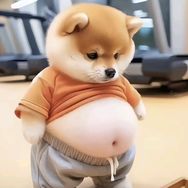 狗嫂养鱼抖音达人头像