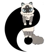 猫太极的拍猫录抖音达人头像