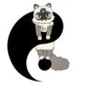 猫太极的拍猫录抖音达人头像
